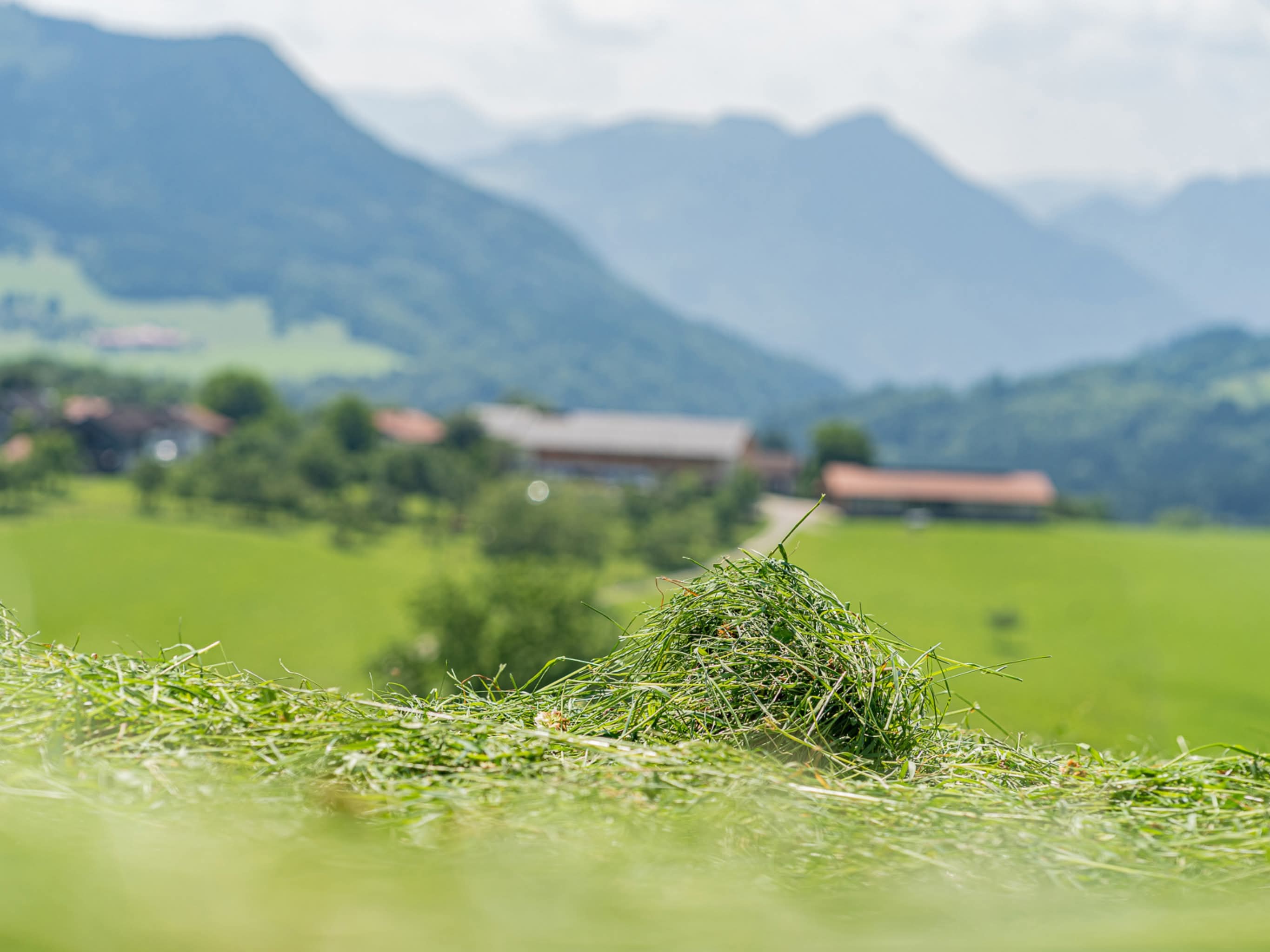 04.03.2026 - Heu Empfehlung, die „Van Barnims“ Schwören darauf