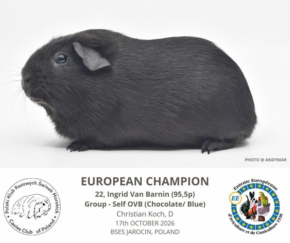 17.10.2026 - 2 Europeane Champions bei den Van Barnims
