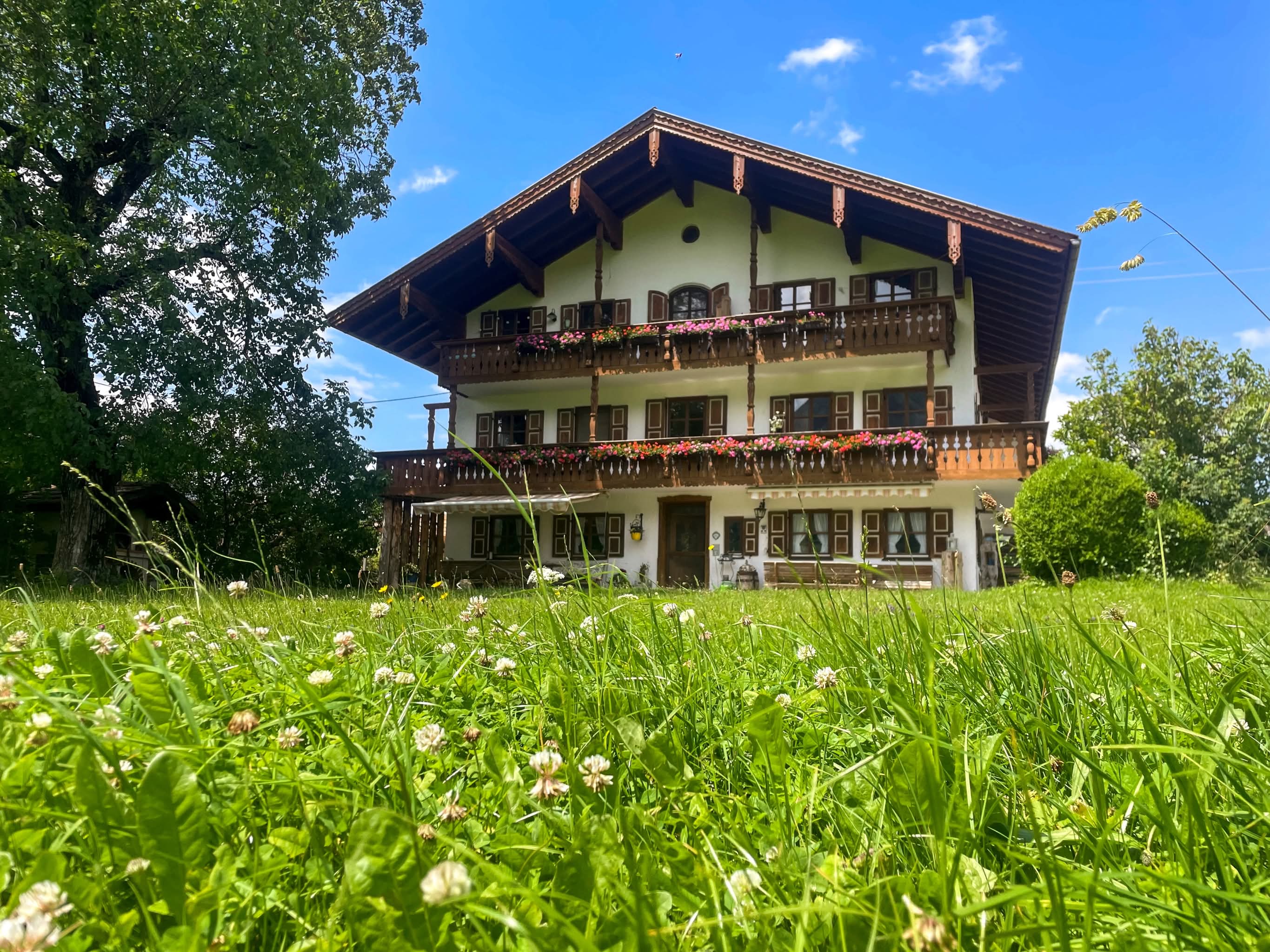 04.03.2026 - Heu Empfehlung, die „Van Barnims“ Schwören darauf