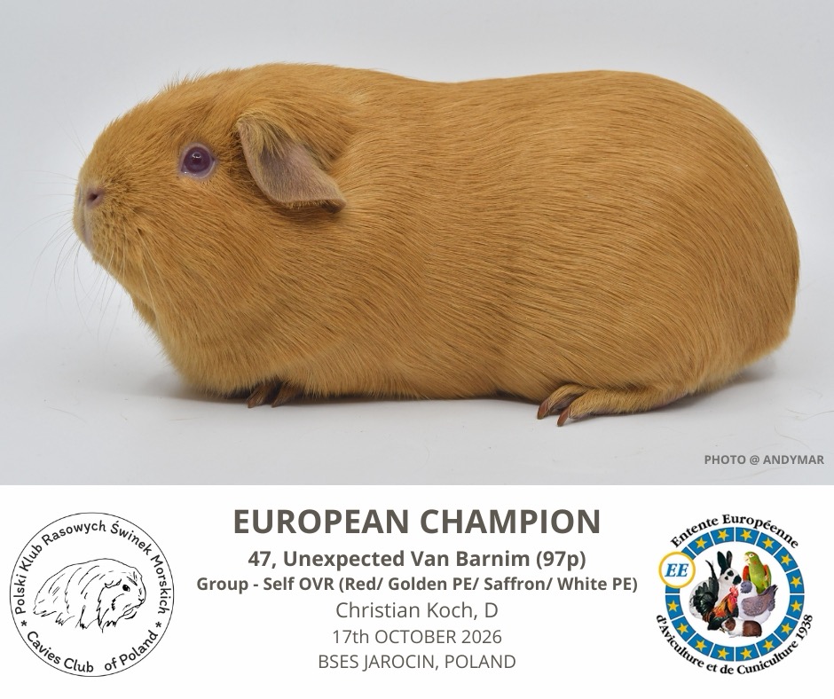 17.10.2026 - 2 Europeane Champions bei den Van Barnims